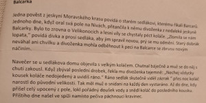 Škola v přírodě s Lipkou - Ostrov u Macochy 2024 - 1732366489_Ostrov u Macochy 2024 - ŠvPř s Lipkou (17).jpg